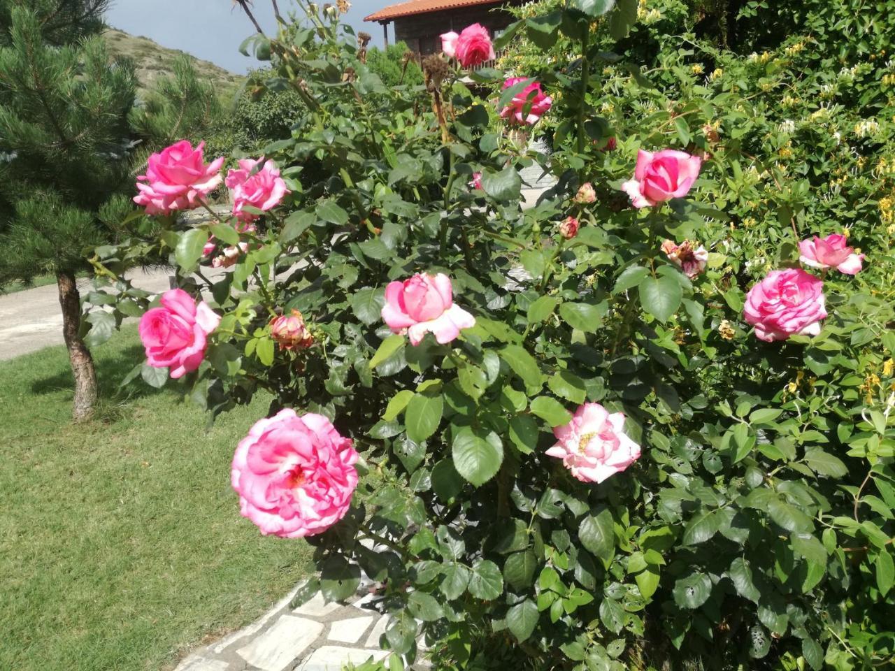 Prespa Resort & Spa Platy  Esterno foto