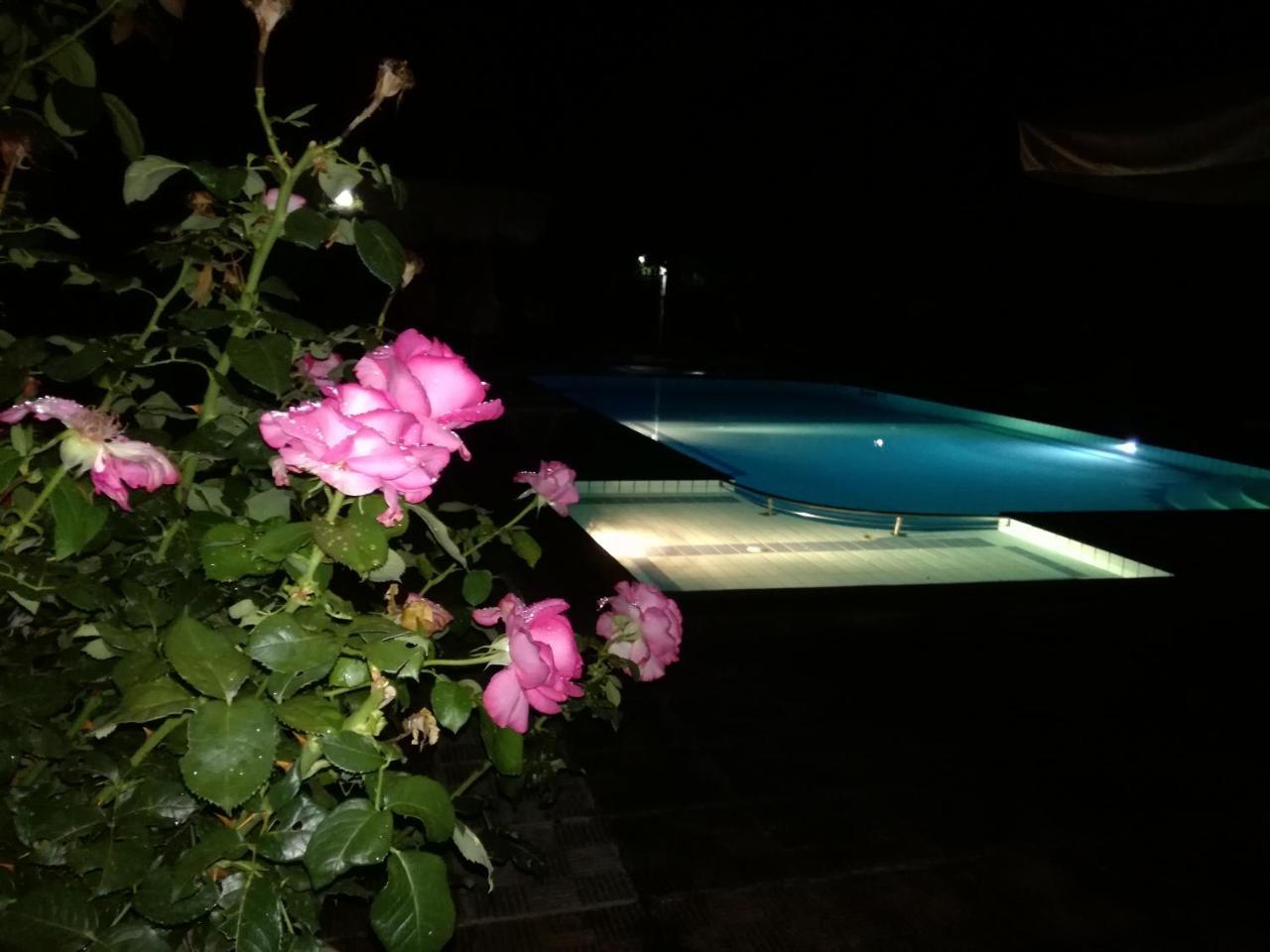Prespa Resort & Spa Platy  Esterno foto